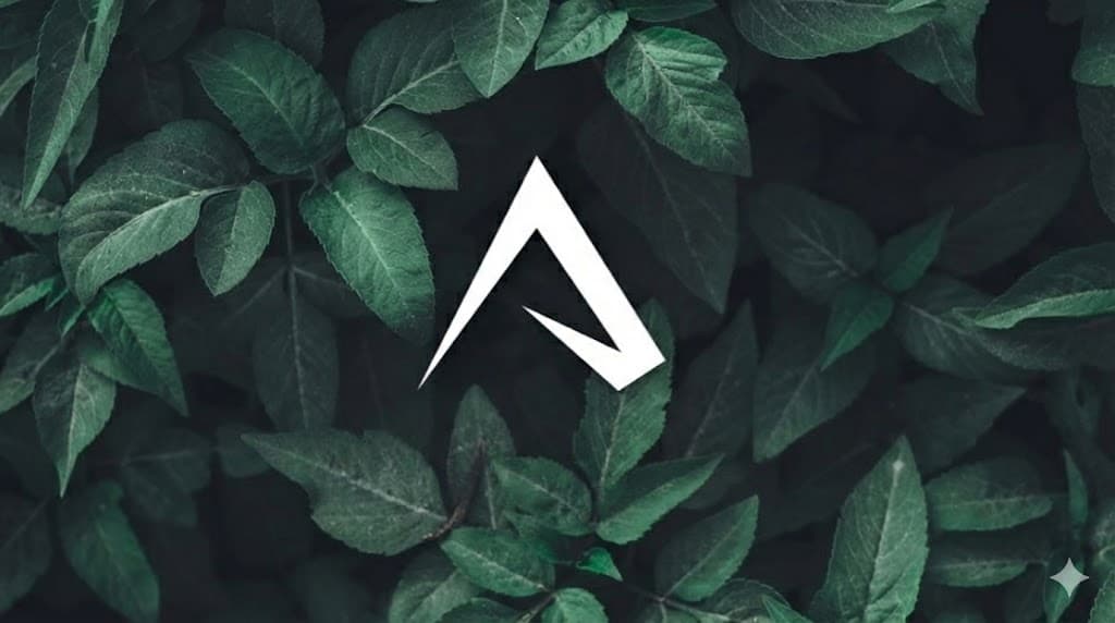 Alma Experience - Edição L'Occitane